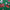 Callaway Supersoft Adventskalender with festive golf balls and decorations against a green background.