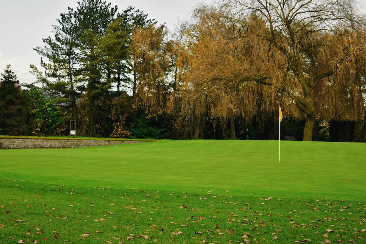 Upptäck hur höstgolfen kan bli din bästa säsong