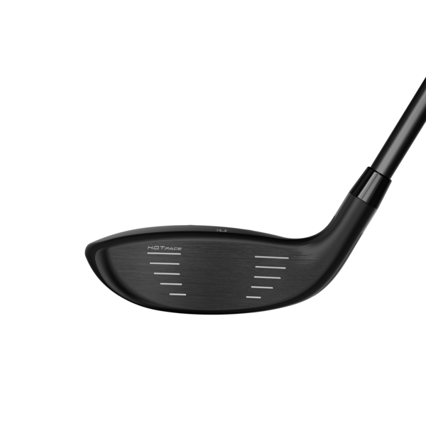 Cobra Air-X2 2024 Fairway DEMO