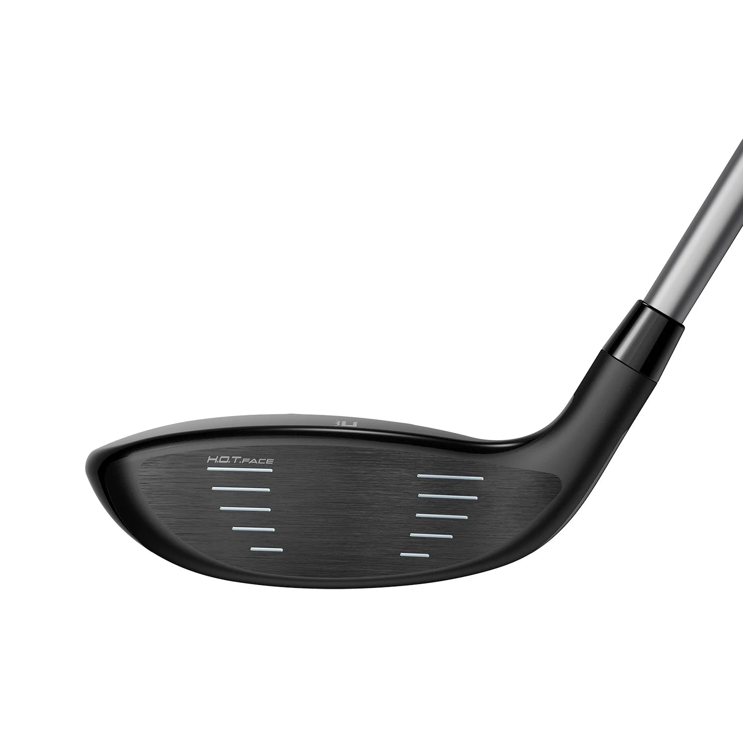 Cobra Air-X2 2024 Fairway Dam DEMO